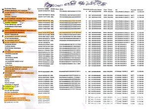List Of Team members highlighting ghost members who are unskilled and relatives of employees of Health Dept