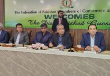FPCCI Pledges to Repatriate $10 Billion Ahead of Budget